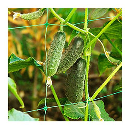 Green color cucumber net/mesh /netting