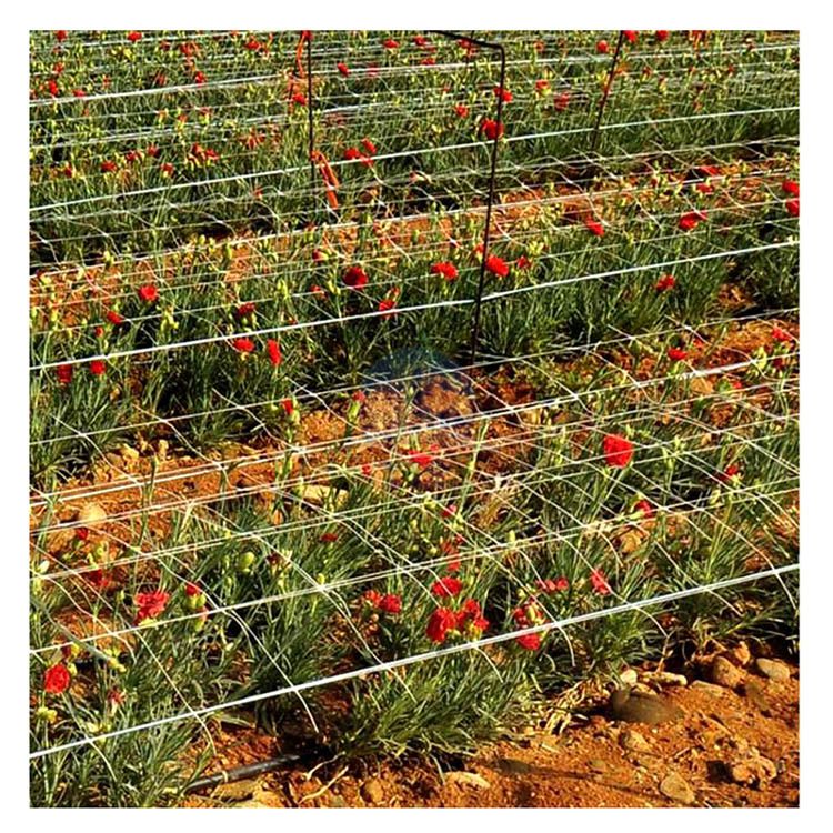 flower netting /flower support mesh/ FLORICULTURE NET