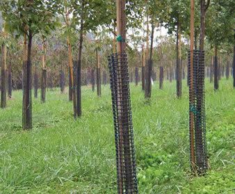 plastic tree guard mesh