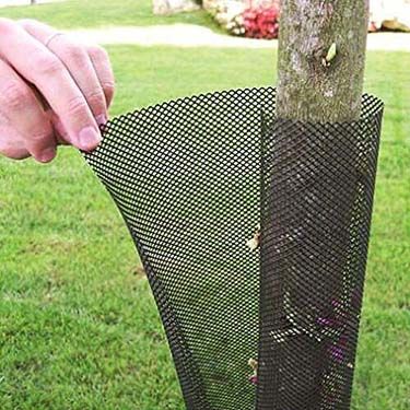 plastic tree guard mesh